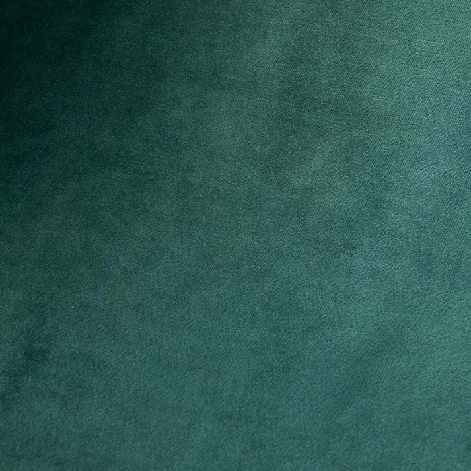 Sedia sala da pranzo imbottita in velluto acciaio verde oro nero Nubia